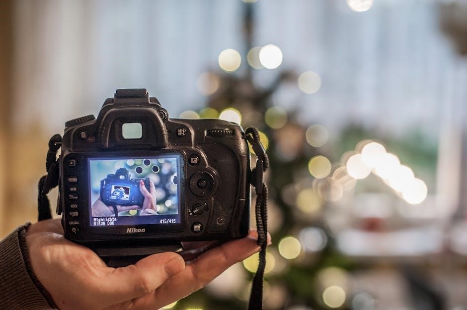 manual for nikon d3300 camera