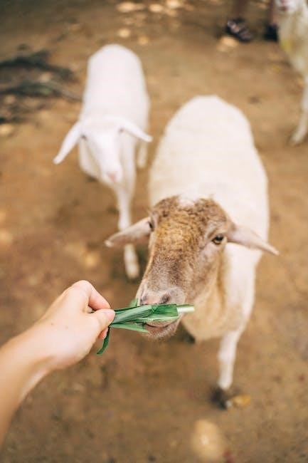 fox farm feeding schedule pdf